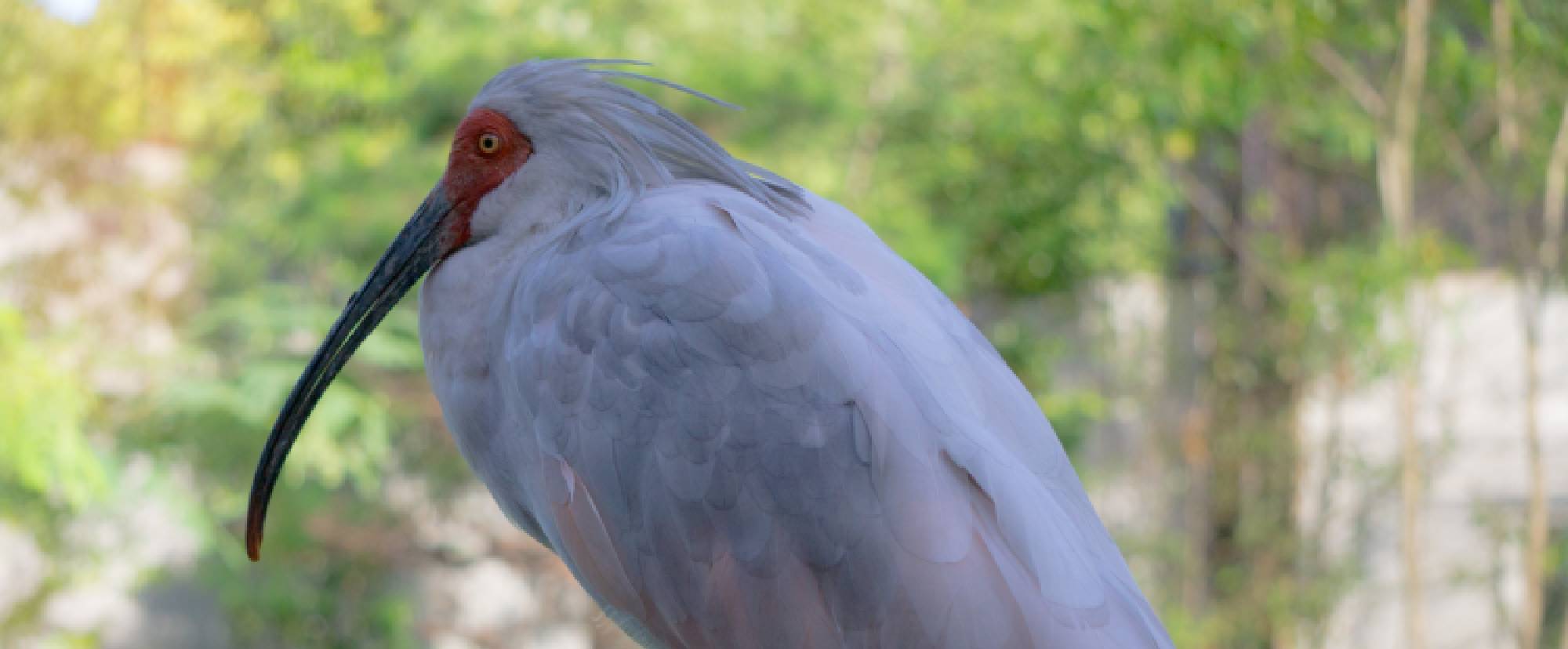 いしかわ動物園
