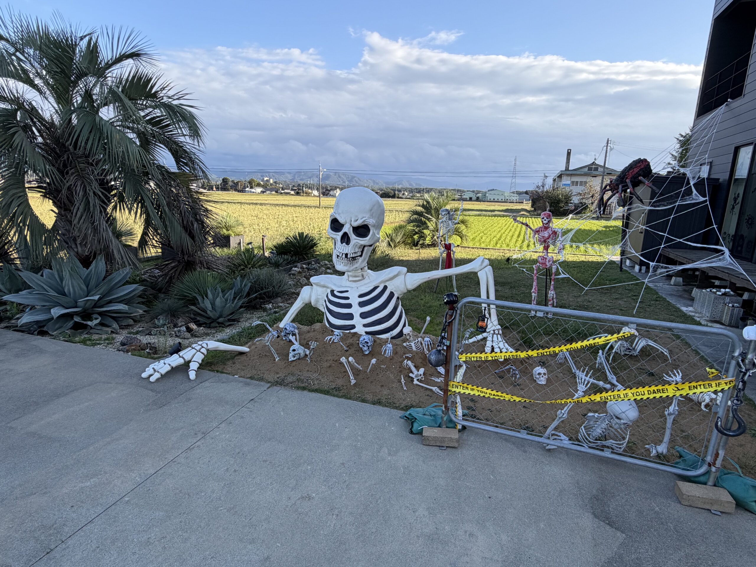 ハロウィンの歴史と秋の楽しみ